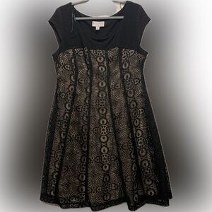 Black and nude Lace Dress Fit and Flare 16